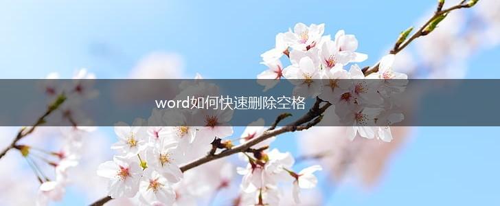 word如何快速删除空格,第1张