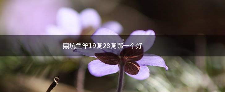 黑坑鱼竿19调28调哪一个好,第1张