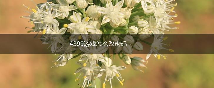 4399游戏怎么改密码,第1张