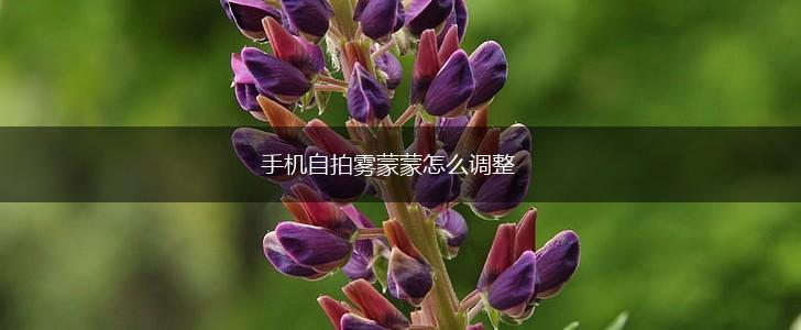 手机自拍雾蒙蒙怎么调整,第1张