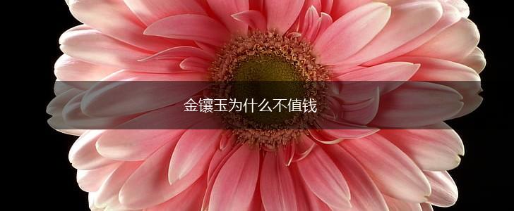 金镶玉为什么不值钱,第1张