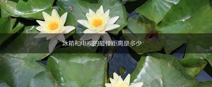 冰箱和电视的最佳距离是多少,第1张