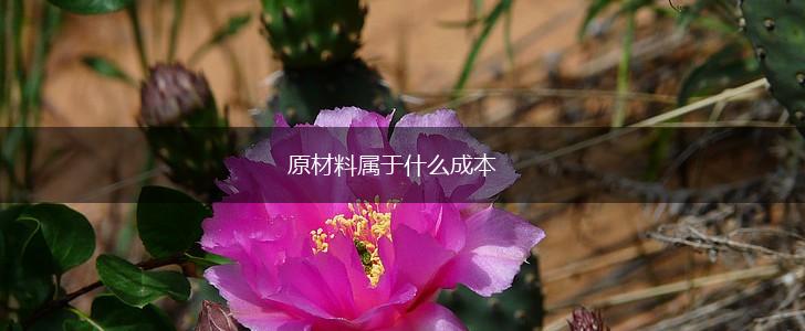 原材料属于什么成本,第1张