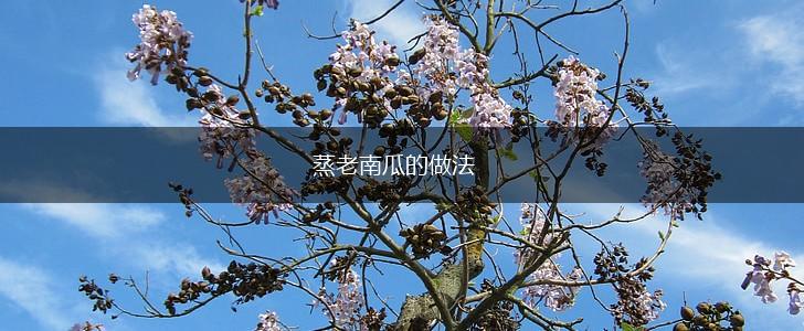 蒸老南瓜的做法,第1张