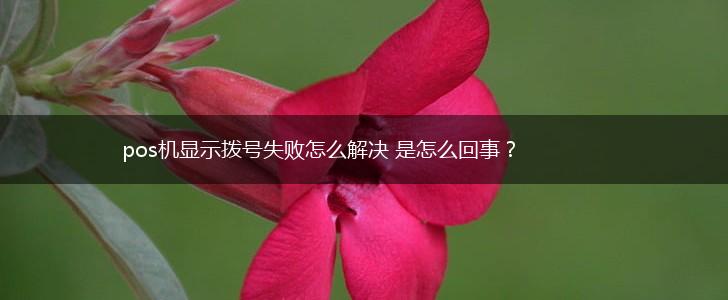 pos机显示拨号失败怎么解决 是怎么回事？,第1张