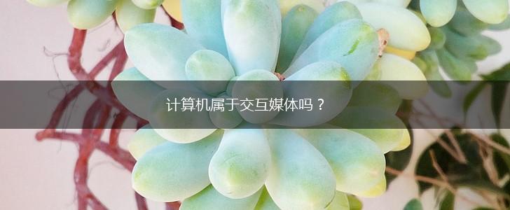 计算机属于交互媒体吗？,第1张