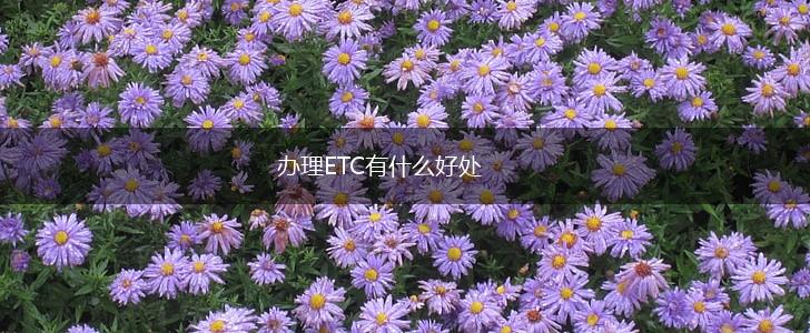 办理ETC有什么好处,第1张