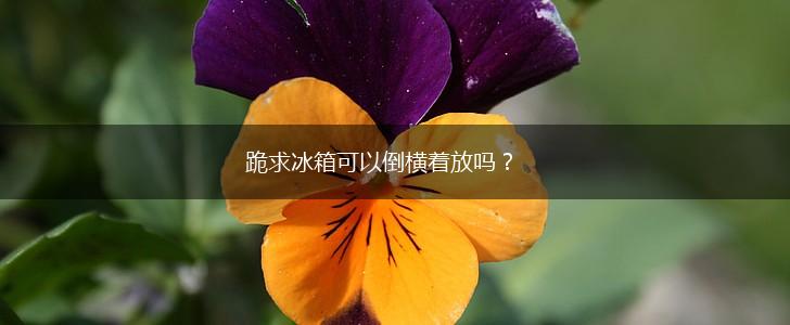 跪求冰箱可以倒横着放吗？,第1张