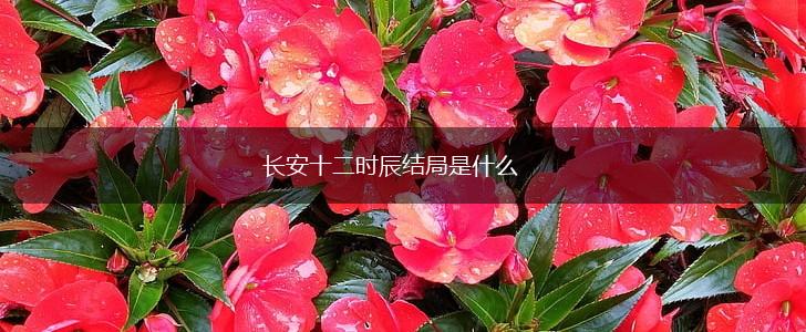 长安十二时辰结局是什么,第1张