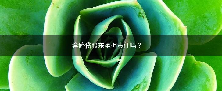 套路贷股东承担责任吗？,第1张