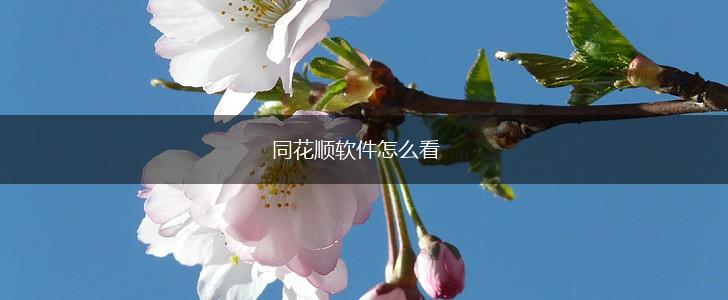同花顺软件怎么看,第1张