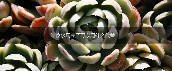 卸妆水用完了可以用什么代替,第1张