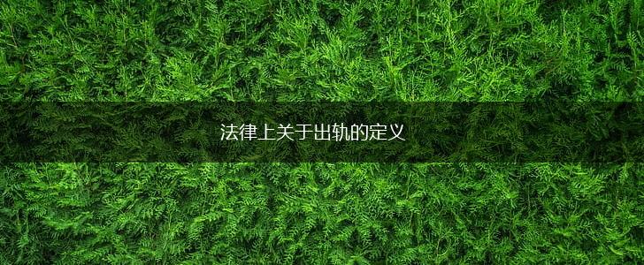 法律上关于出轨的定义,第1张