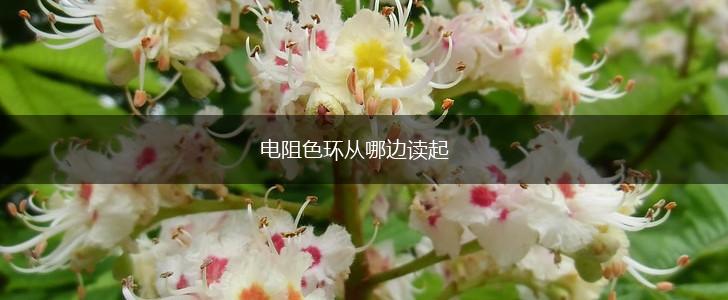 电阻色环从哪边读起,第1张