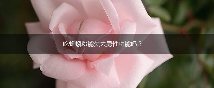 吃蚯蚓粉能失去男性功能吗?,第1张 吃蚯蚓粉能失去男性功能吗?,第1张