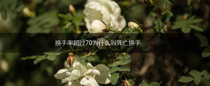 换手率超过70为什么叫死亡换手,第1张