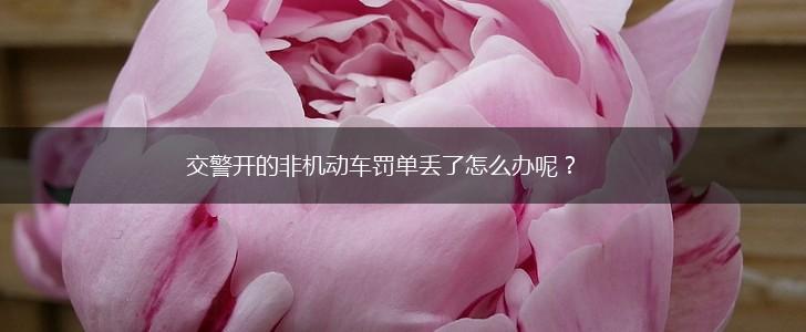 交警开的非机动车罚单丢了怎么办呢？,第1张