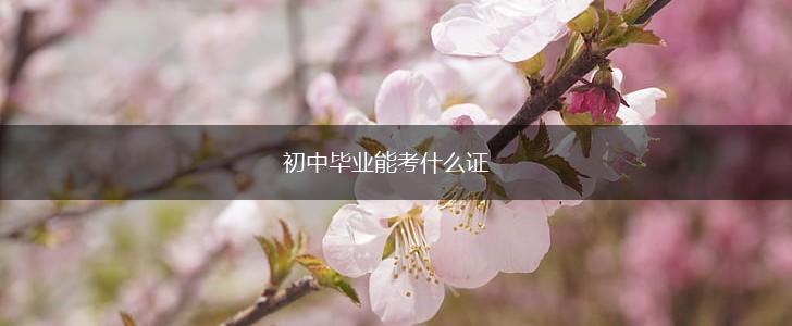 初中毕业能考什么证,第1张