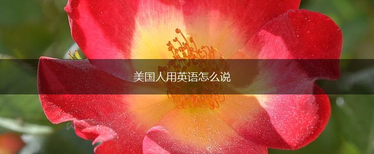 美国人用英语怎么说,第1张