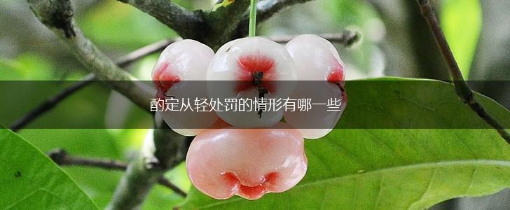 酌定从轻处罚的情形有哪一些,第1张