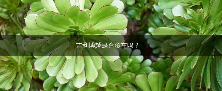 吉利博越是合资车吗？,第1张