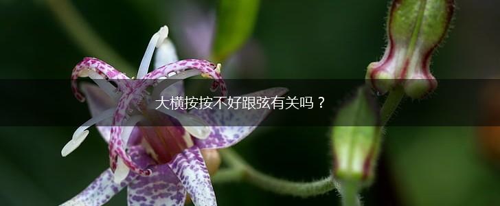 大横按按不好跟弦有关吗？,第1张