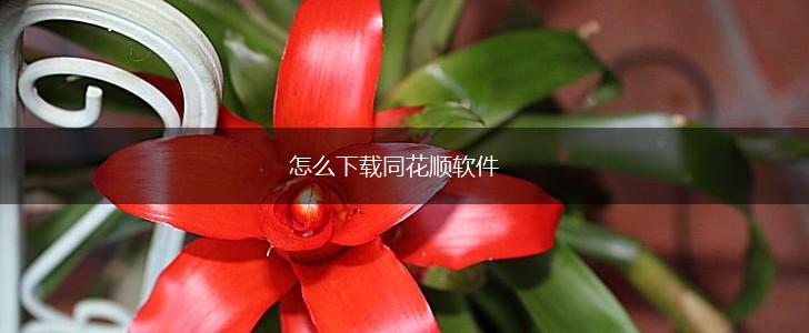 怎么下载同花顺软件,第1张