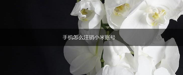 手机怎么注销小米账号,第1张