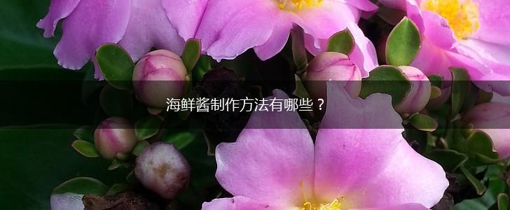 海鲜酱制作方法有哪些？,第1张