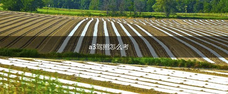 a3驾照怎么考,第1张