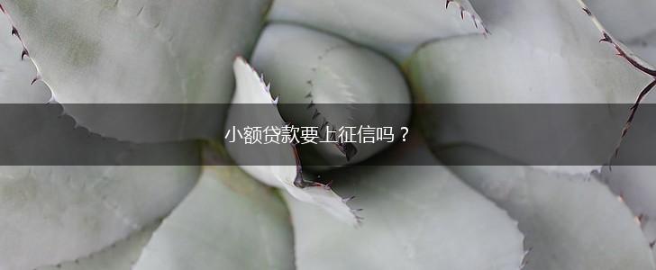 小额贷款要上征信吗？,第1张