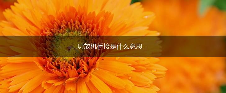 功放机桥接是什么意思,第1张 功放机桥接是什么意思,第1张
