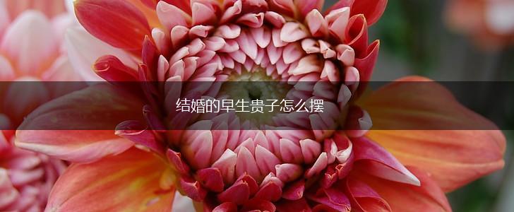 结婚的早生贵子怎么摆,第1张