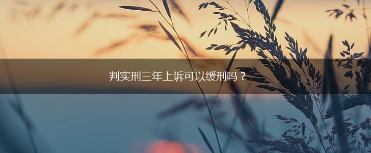 判实刑三年上诉可以缓刑吗？,第1张