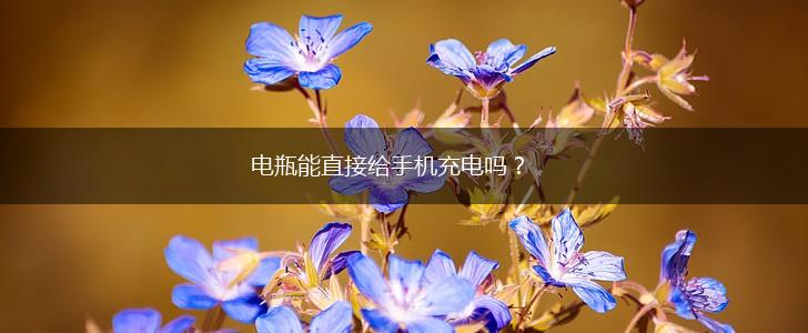 电瓶能直接给手机充电吗？,第1张