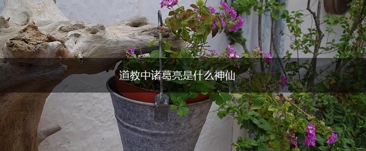 道教中诸葛亮是什么神仙,第1张