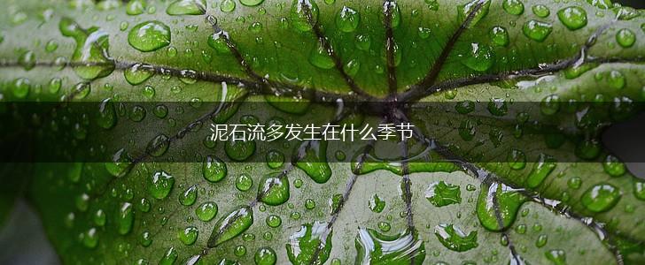 泥石流多发生在什么季节,第1张 泥石流多发生在什么季节,第1张