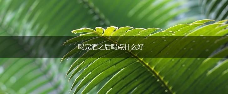 喝完酒之后喝点什么好,第1张