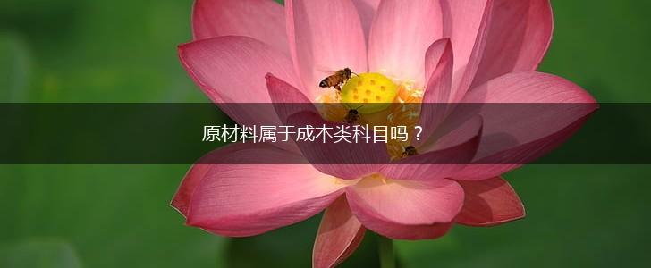 原材料属于成本类科目吗？,第1张
