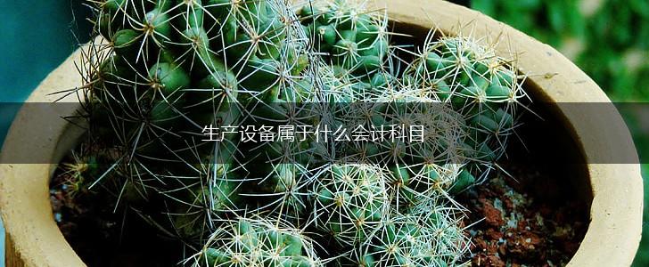 生产设备属于什么会计科目,第1张