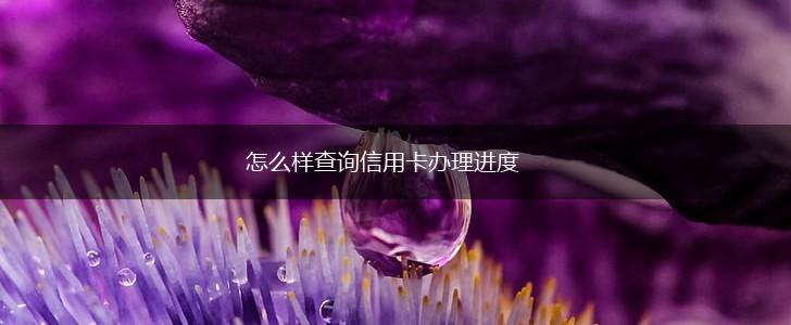 怎么样查询信用卡办理进度,第1张