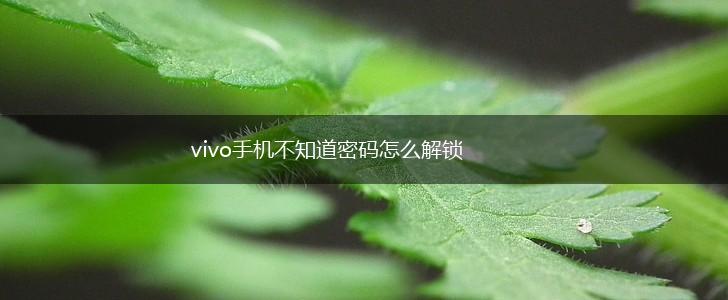vivo手机不知道密码怎么解锁,第1张
