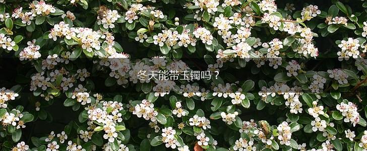 冬天能带玉镯吗？,第1张