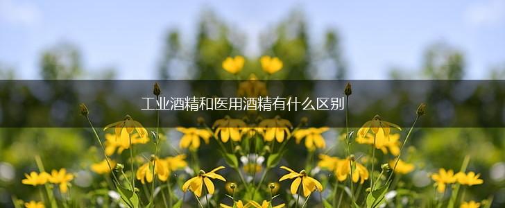 工业酒精和医用酒精有什么区别,第1张 工业酒精和医用酒精有什么区别,第1张