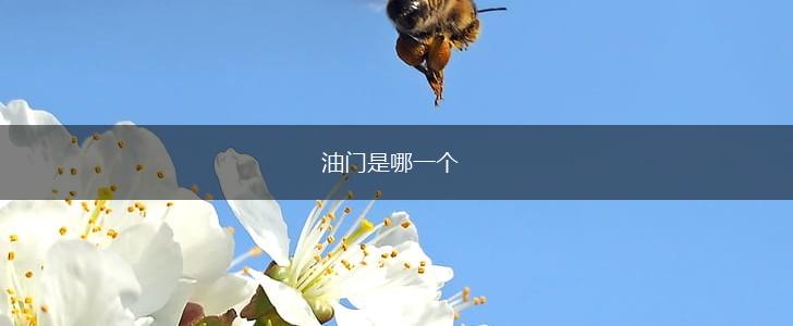 油门是哪一个,第1张
