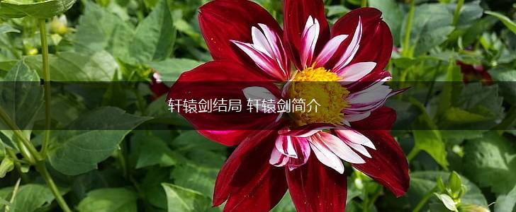 轩辕剑结局 轩辕剑简介,第1张