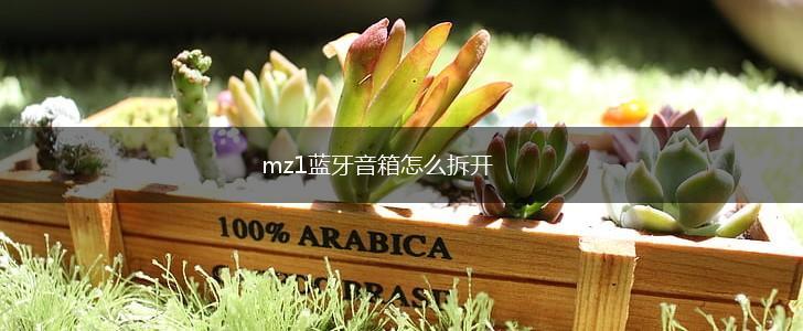 mz1蓝牙音箱怎么拆开,第1张