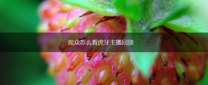 观众怎么看虎牙主播回放,第1张