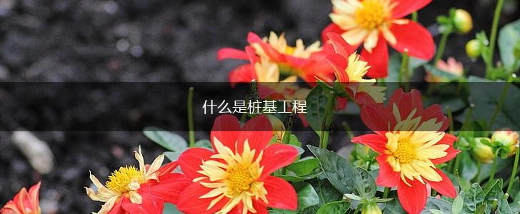 什么是桩基工程,第1张
