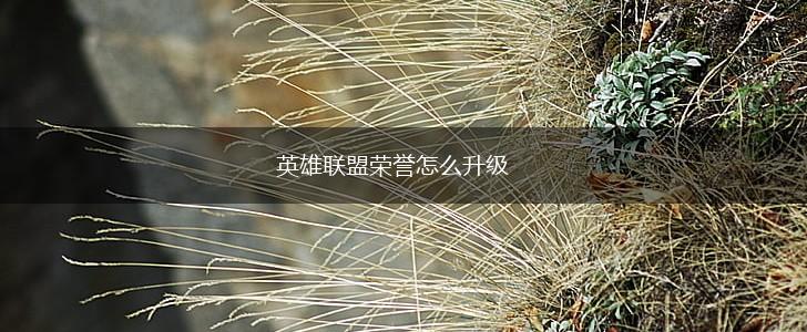 英雄联盟荣誉怎么升级,第1张